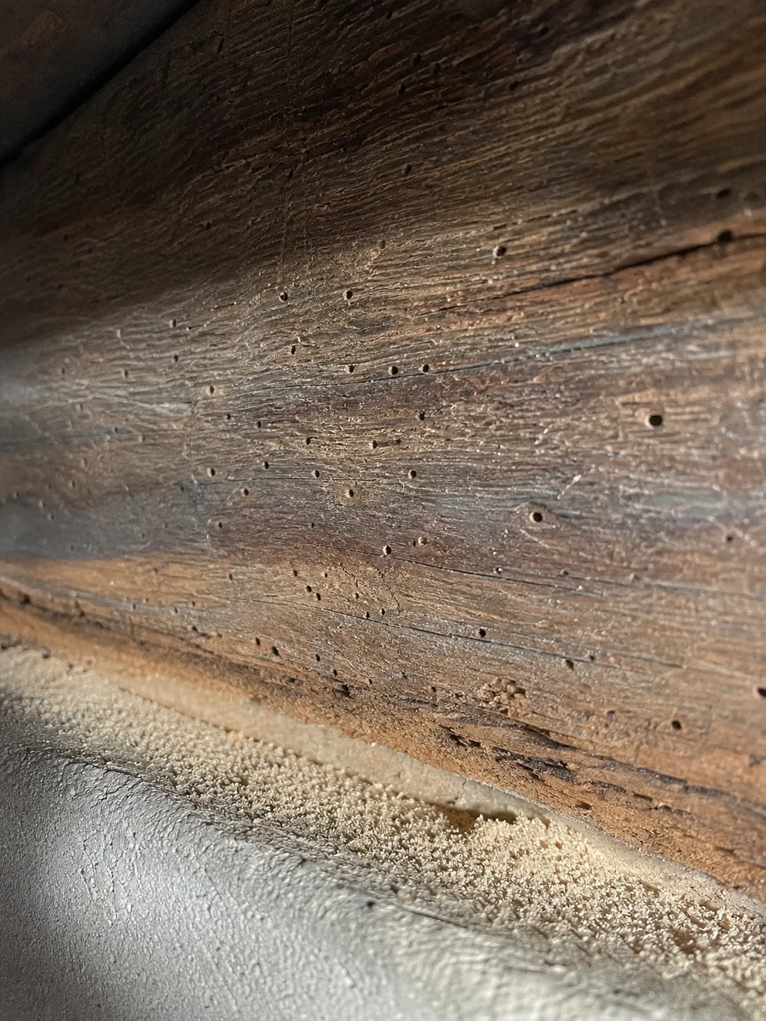 Orificios de carcoma en una viga de madera