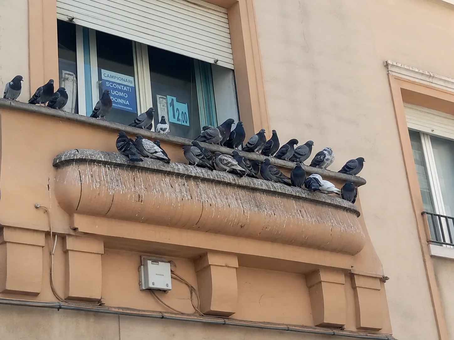 Palomas posadas en la cornisa de un edificio en Badalona