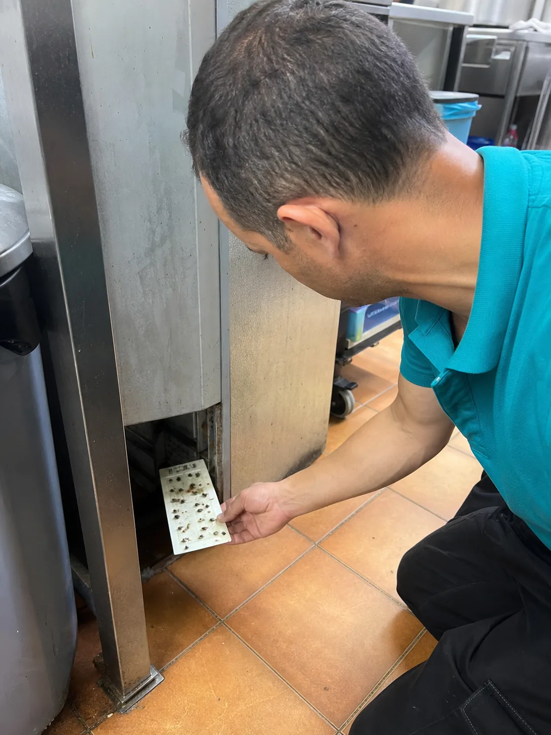 Técnico revisando una trampa de monitoreo de insectos