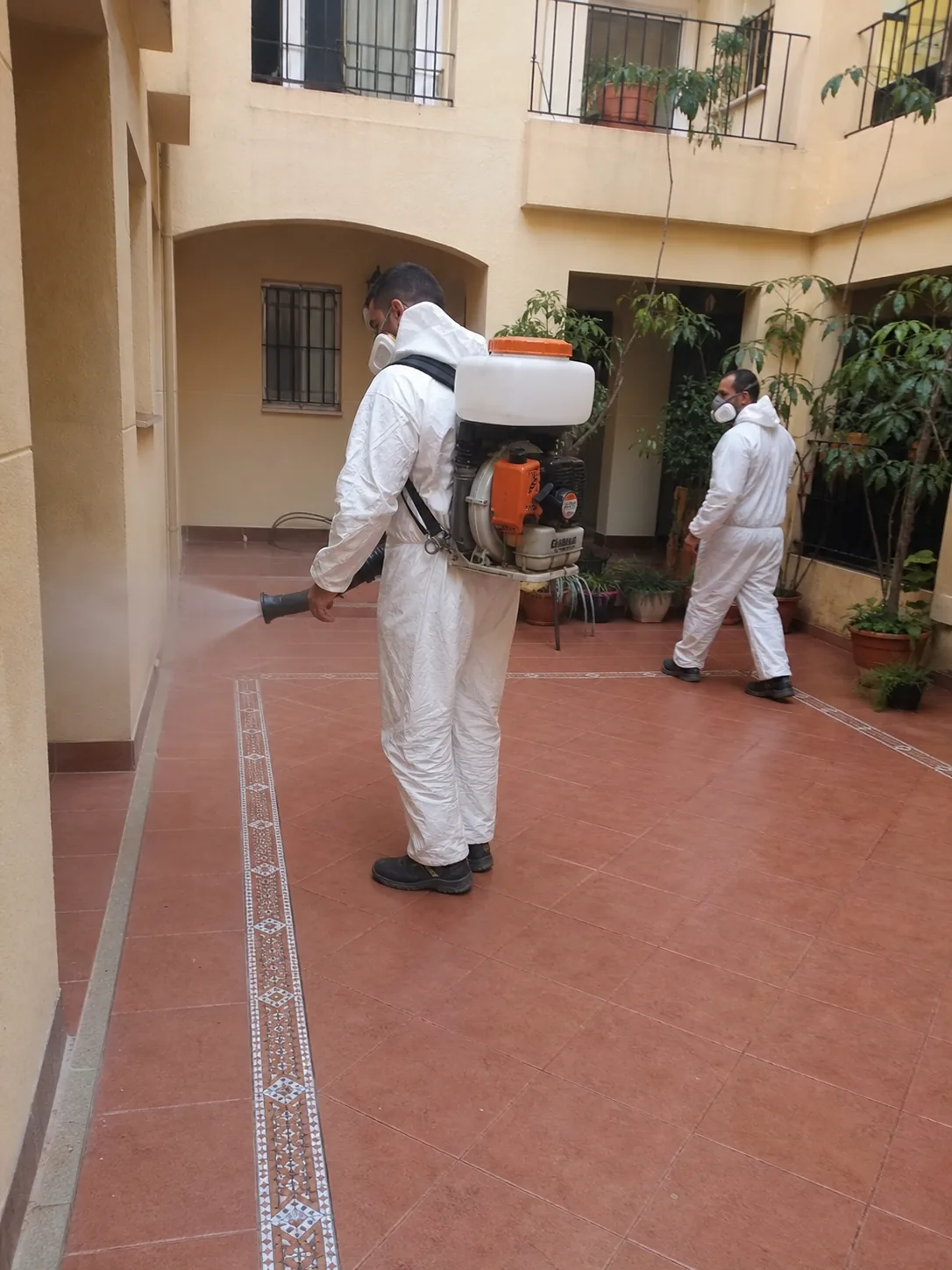 Técnicos de BadaPest aplicando un tratamiento de fumigación